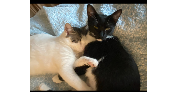 Kissy Love