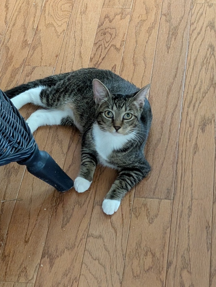 Betty (Jerry)