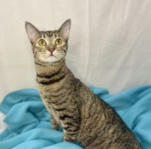 April, Young Female unknown