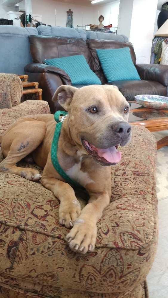 Tank