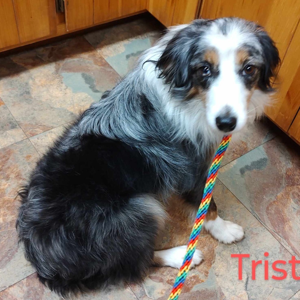 Trista (County Line's Trista)
