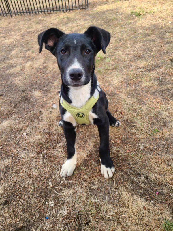 Tucker