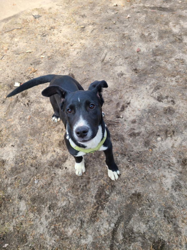 Tucker