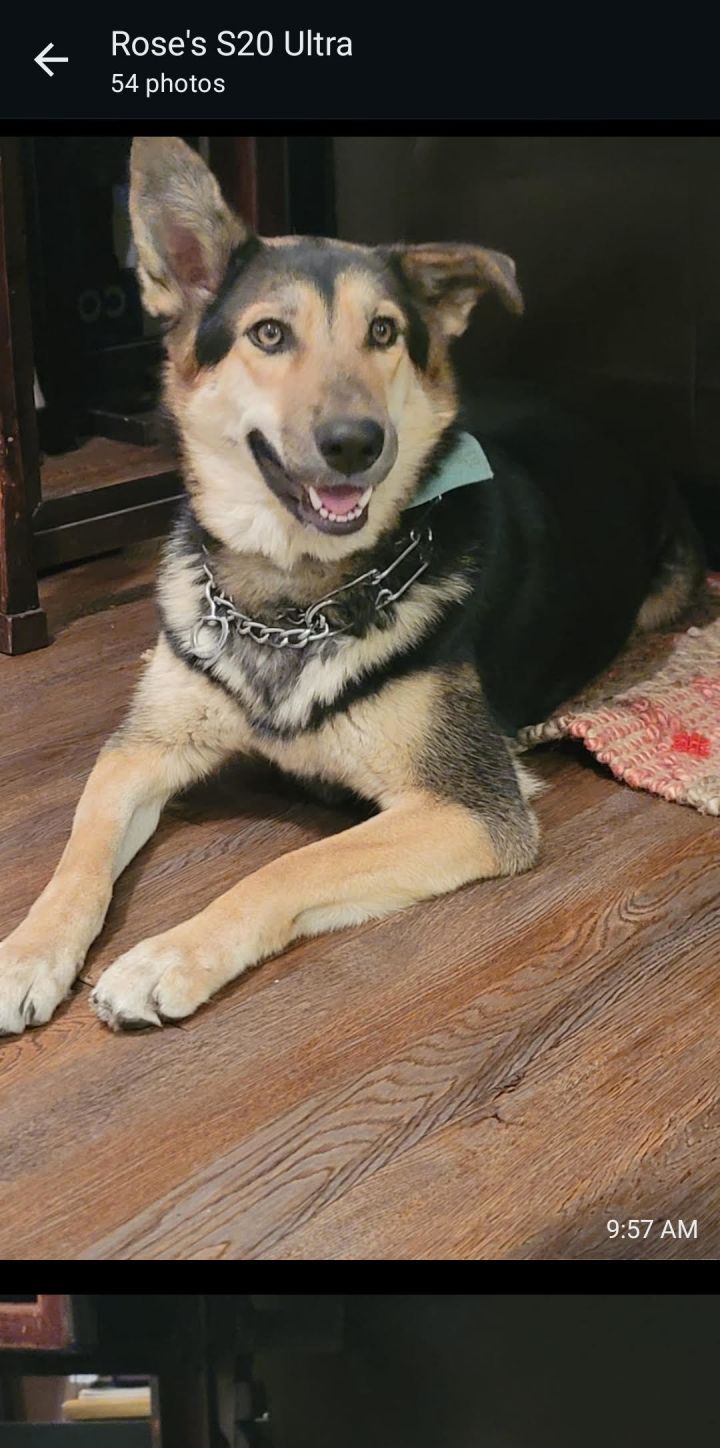 Coco (Owner Assist) 2