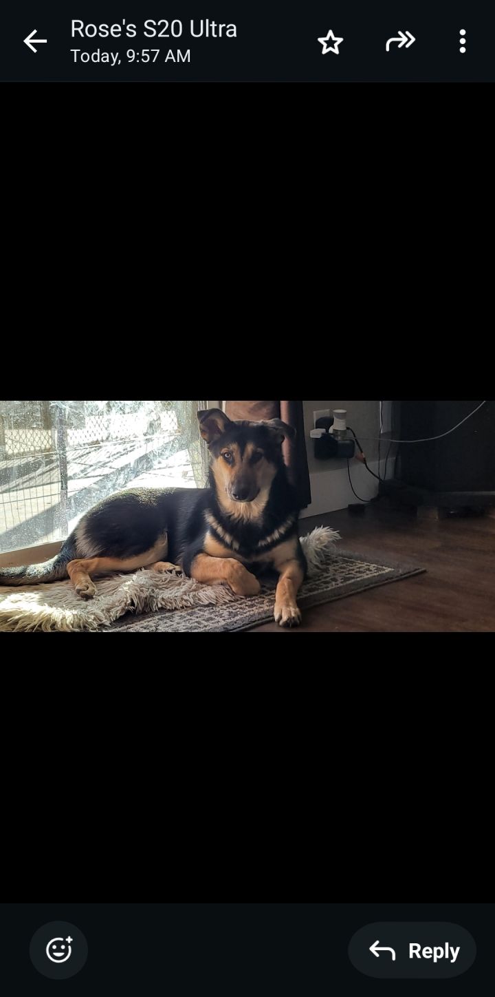 Coco (Owner Assist) 4
