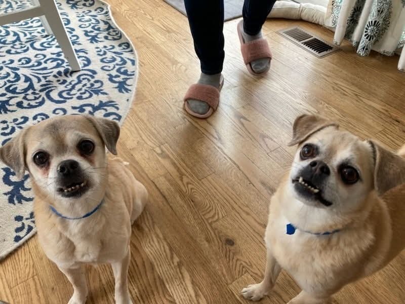 Garfunkel