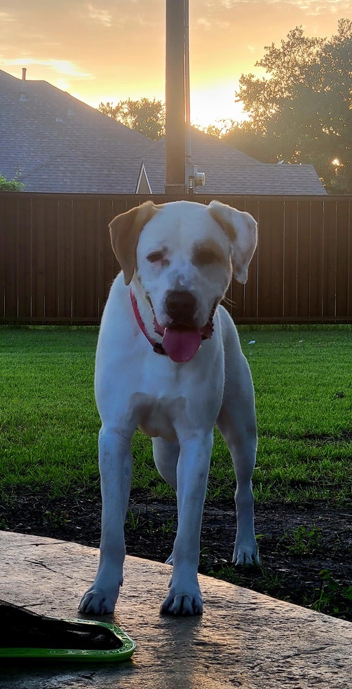 Tucker