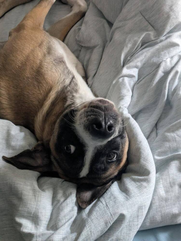 Harvey