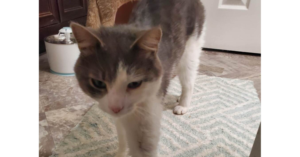 Lulu (fka Quincy 2023)