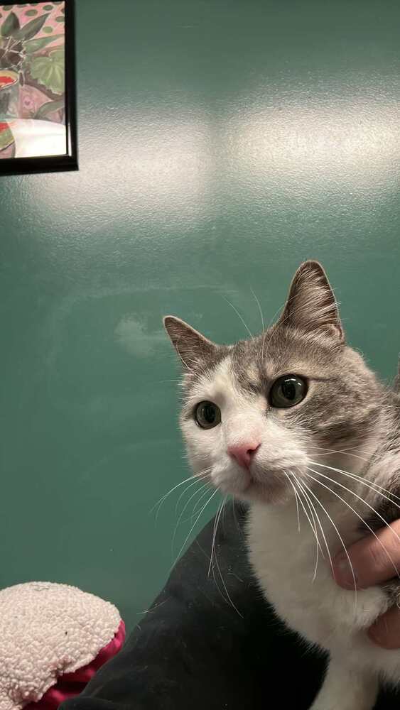 Lulu (fka Quincy 2023)