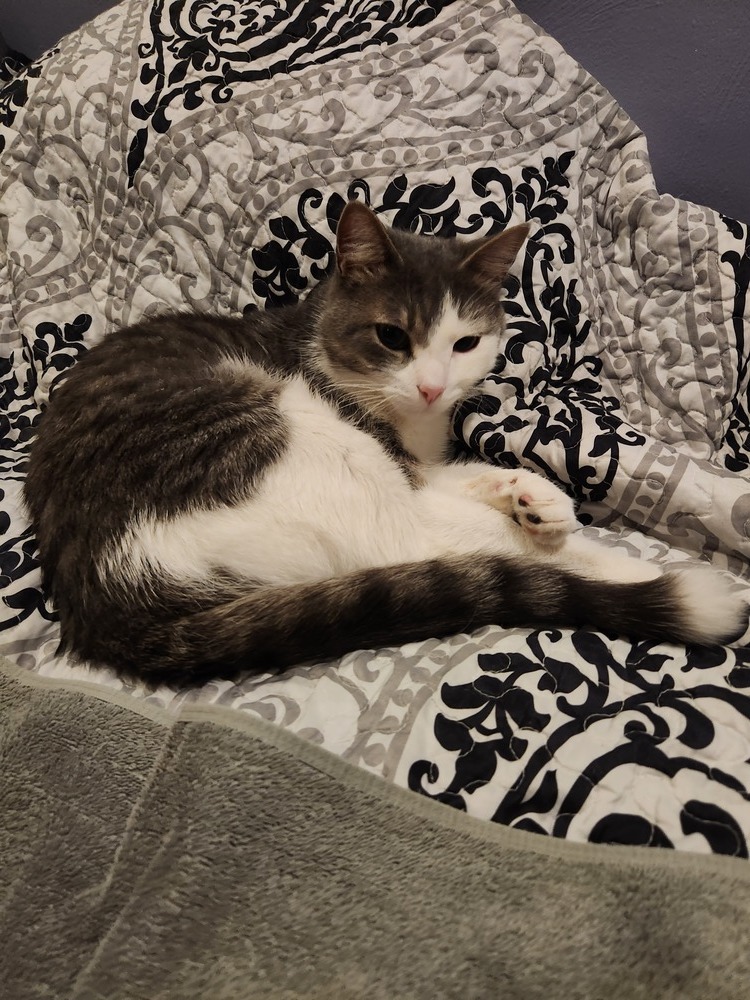 Lulu (fka Quincy 2023)