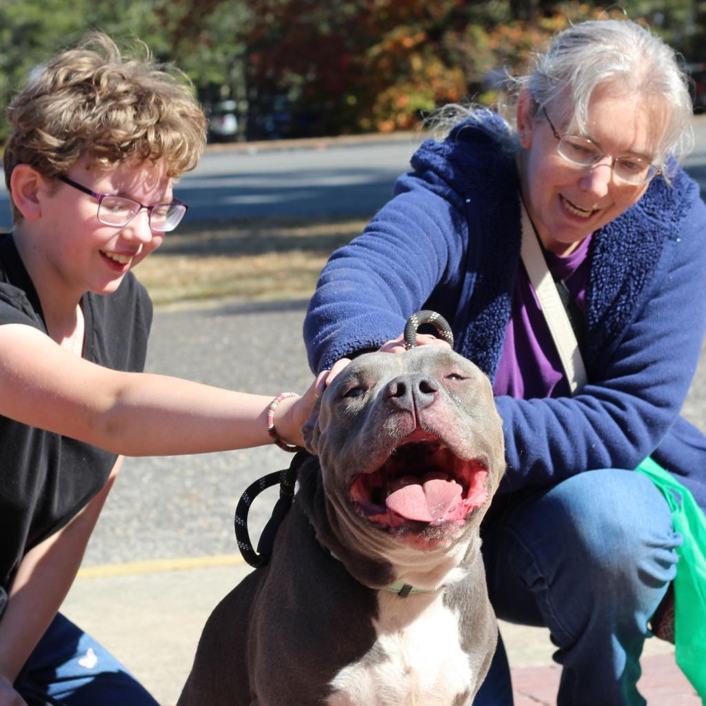 Domehead(In Foster)