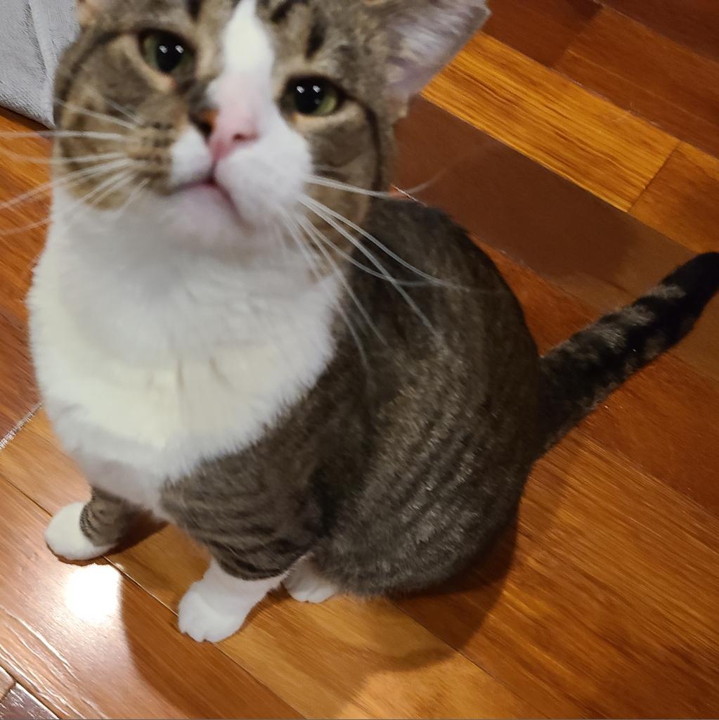 Denny