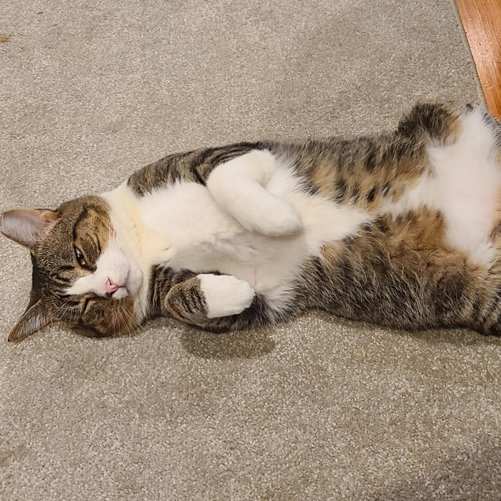 Denny