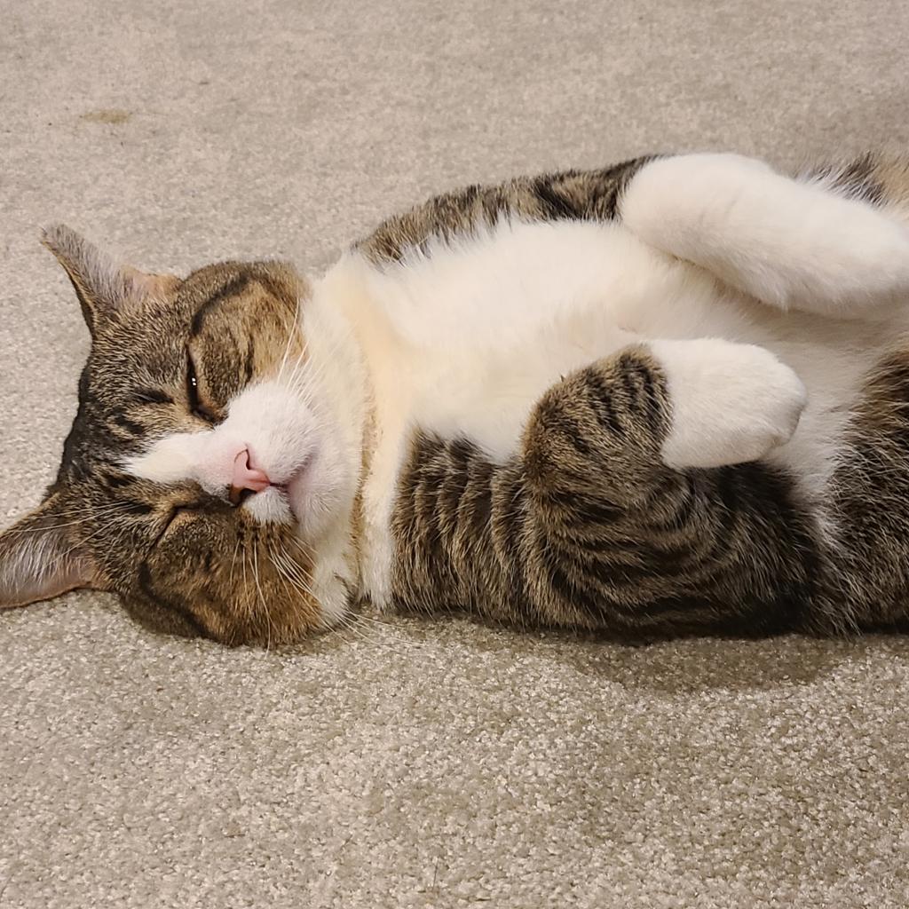 Denny
