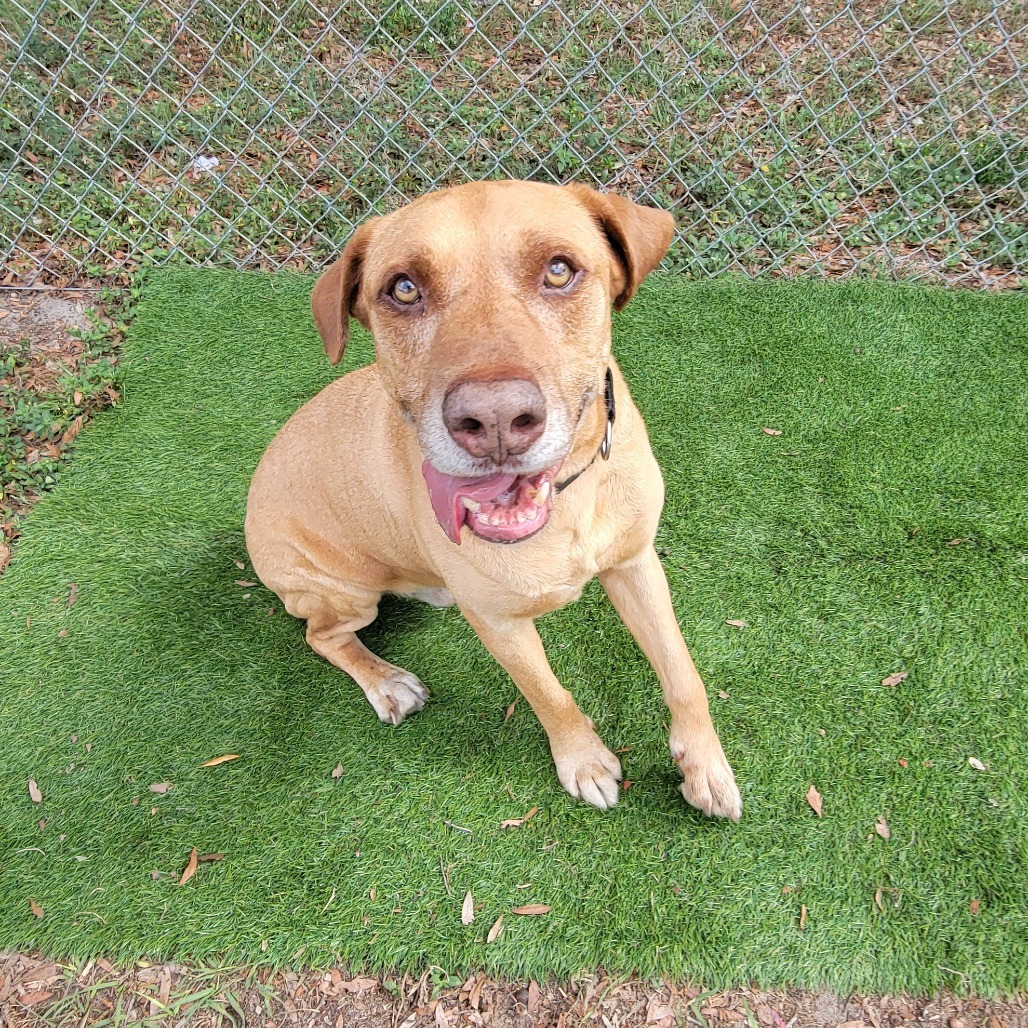 Duke