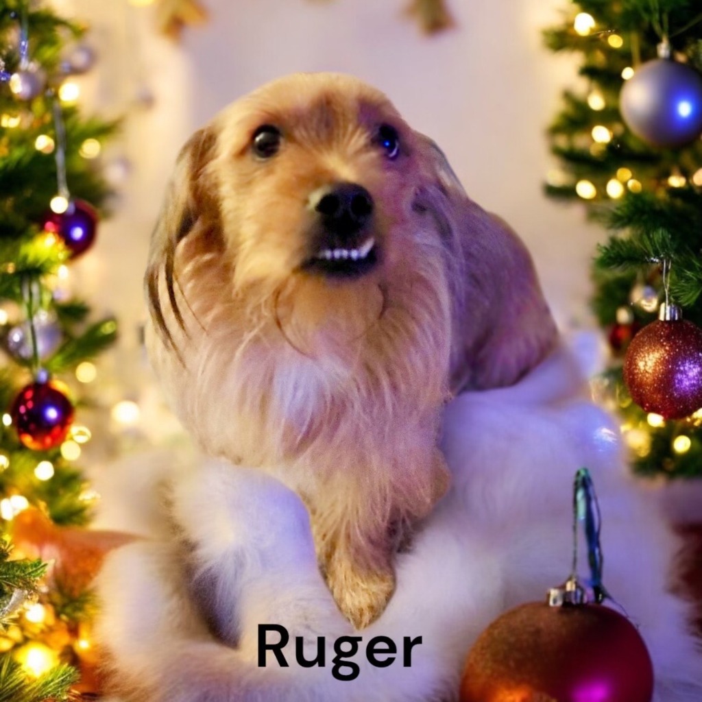 Ruger