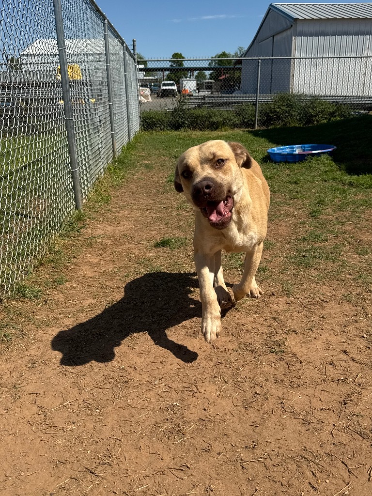 Sunny