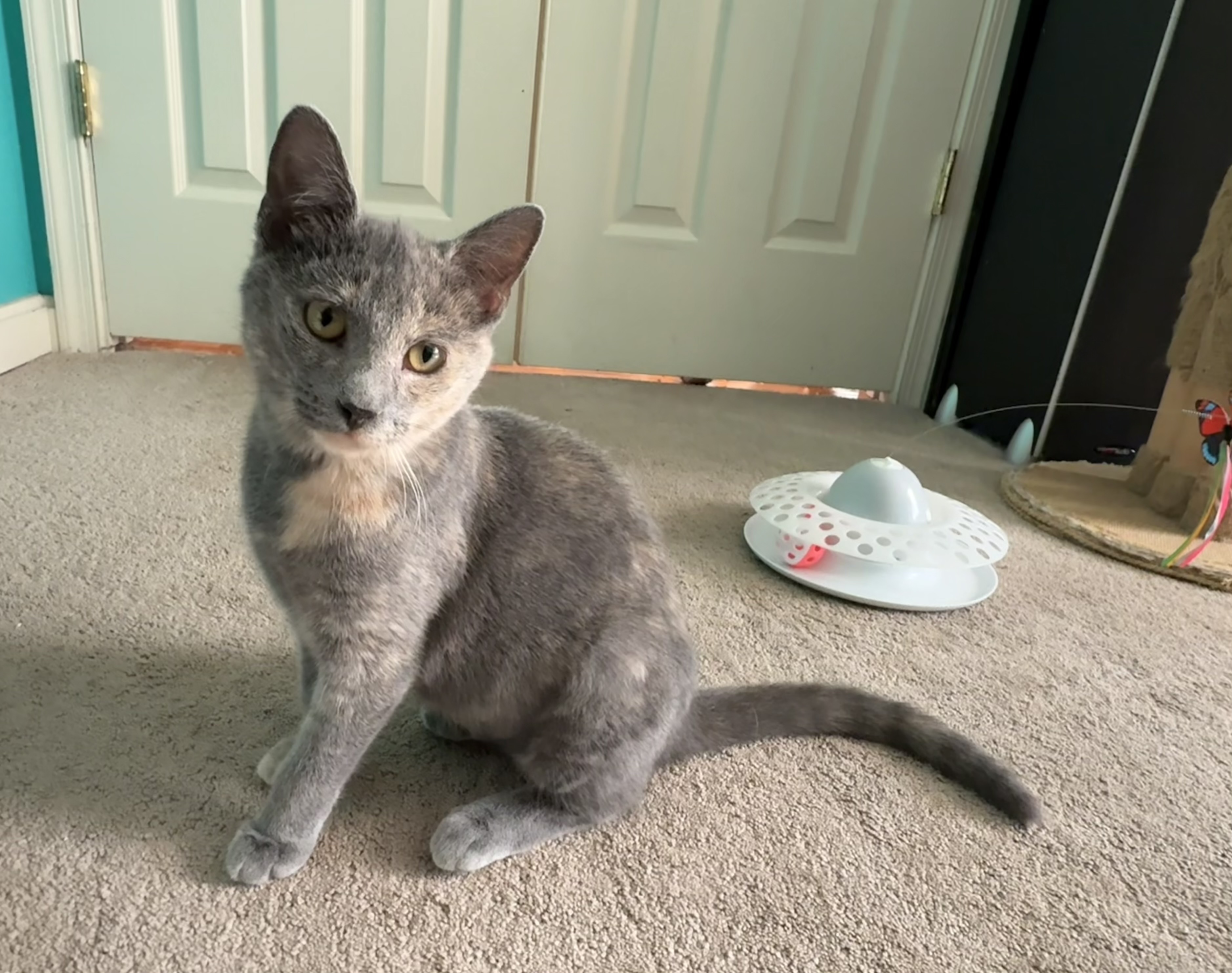 Nixie