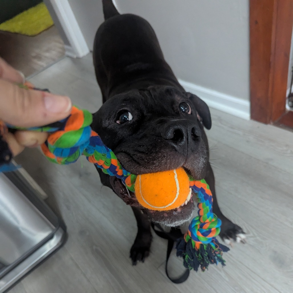 MarshBruno