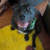 MarshBruno photo 5