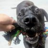 MarshBruno photo 6