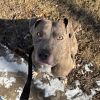 Bubba photo 4