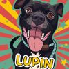 Lupin photo 5