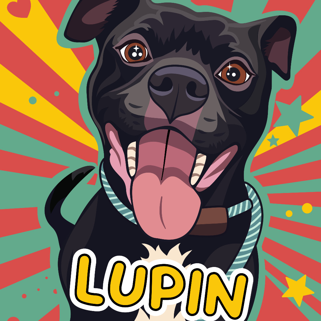 Lupin