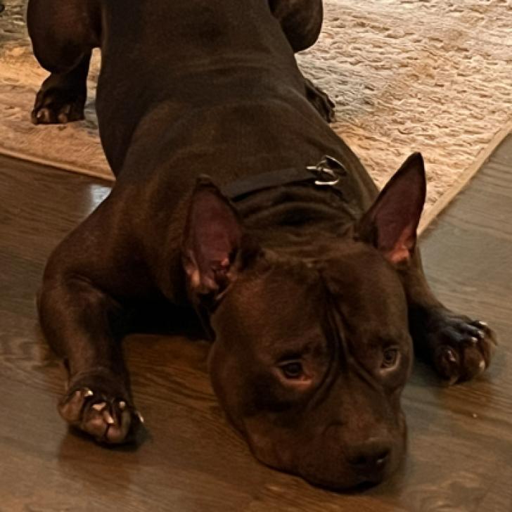 Meatball