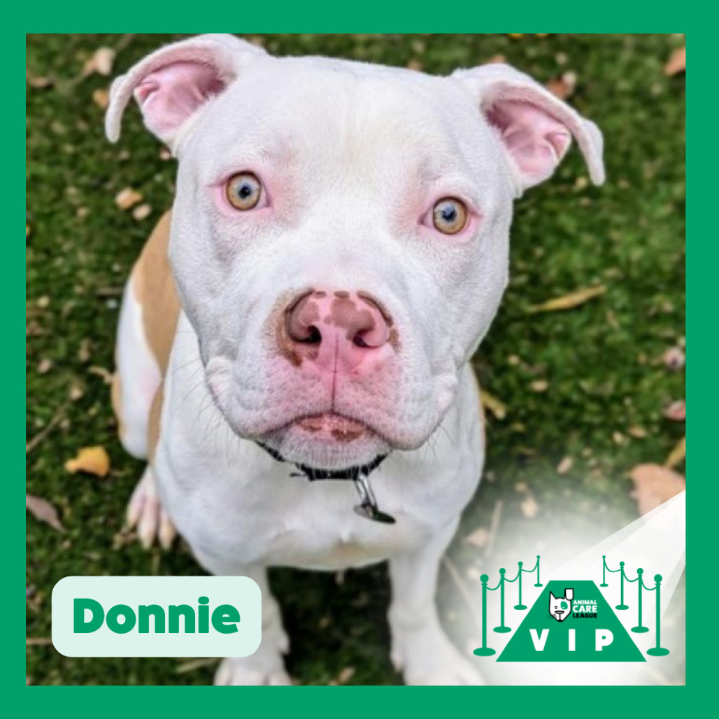 Donnie