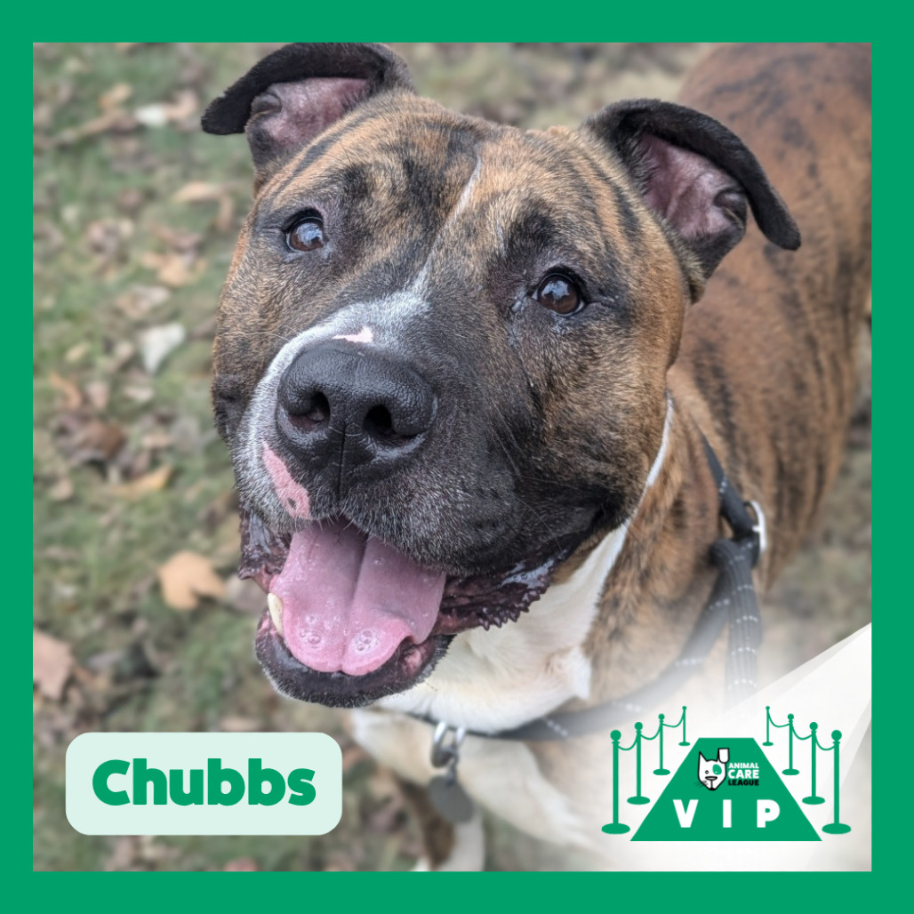 Chubbs