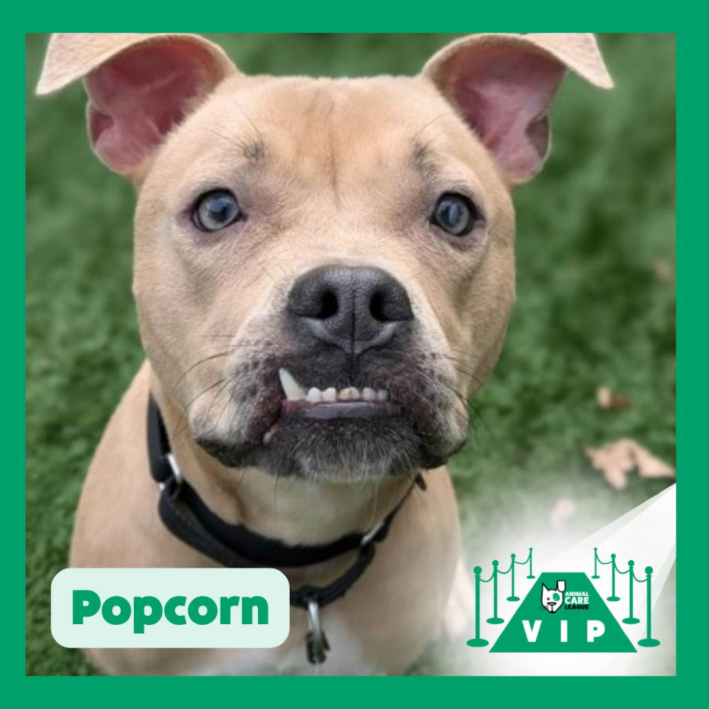 Popcorn