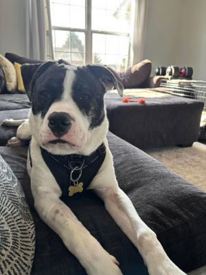 Tito