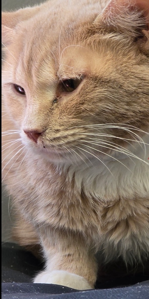 LENNY