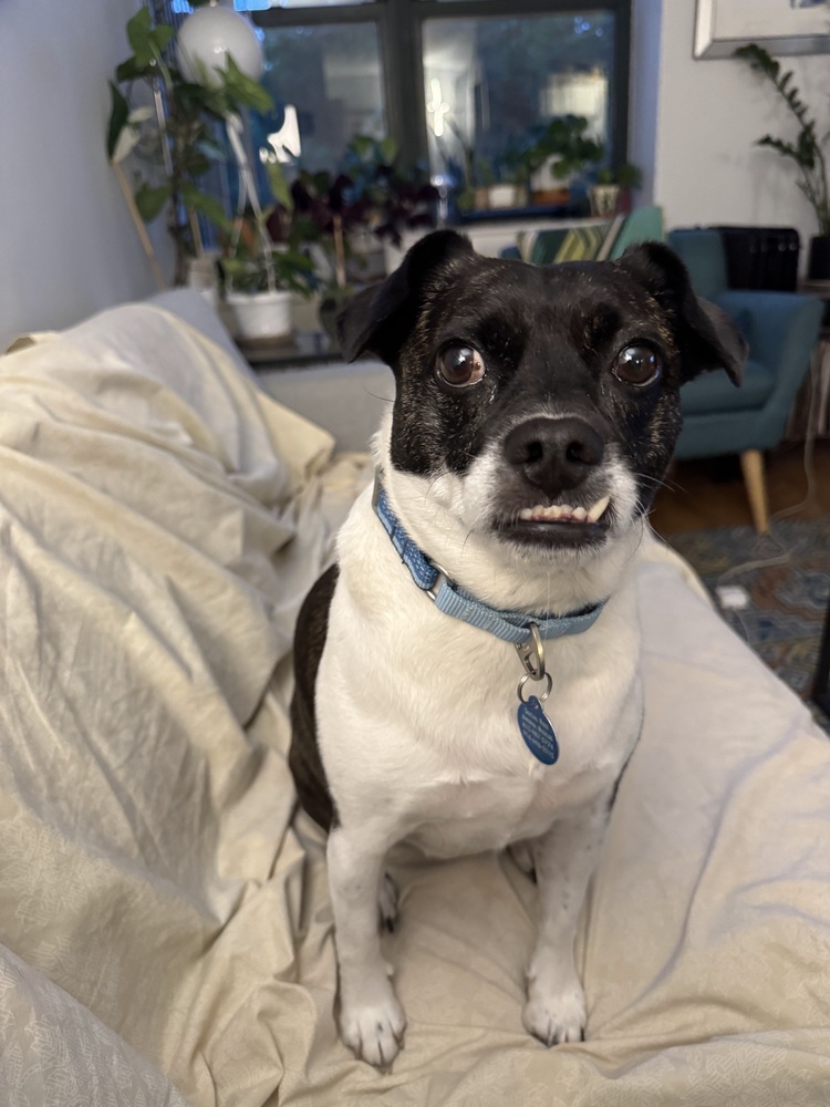 Frankie