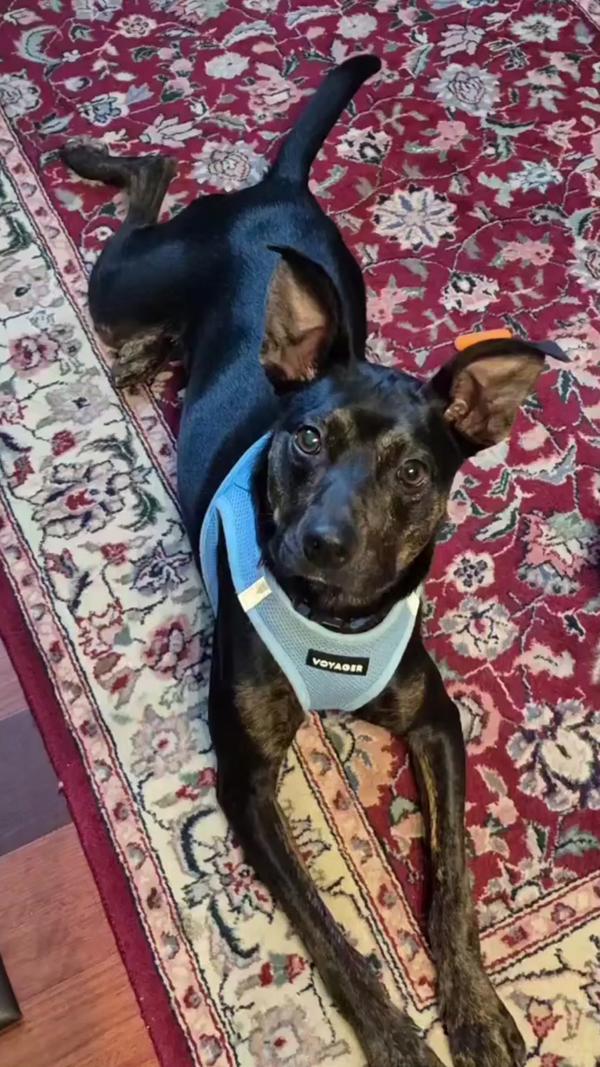 Lil Man