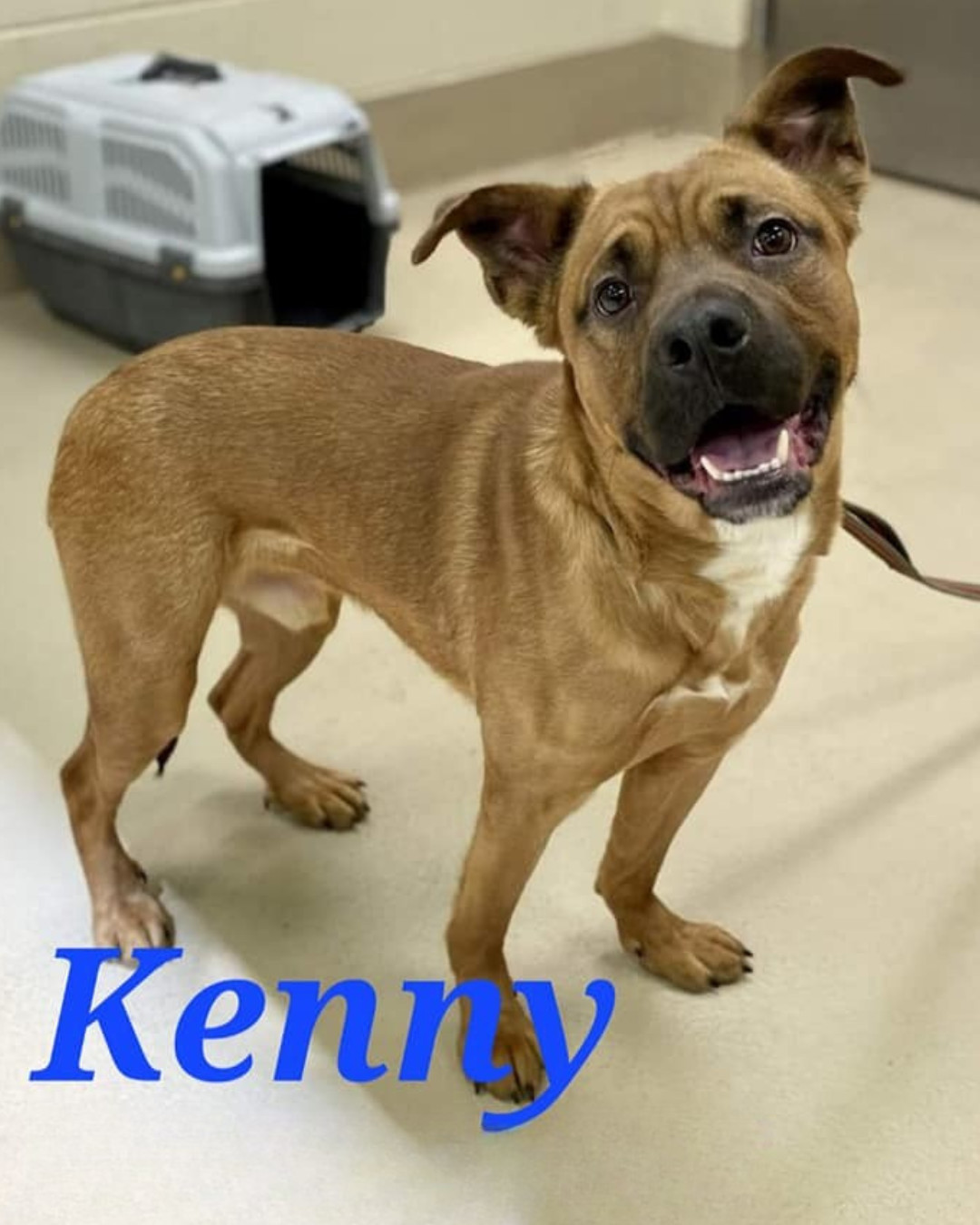 Kenny