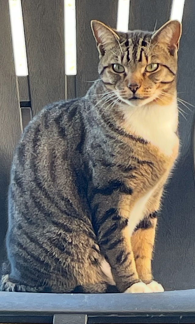 Charlie