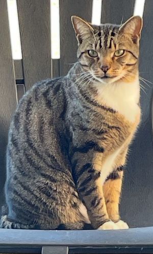 Charlie