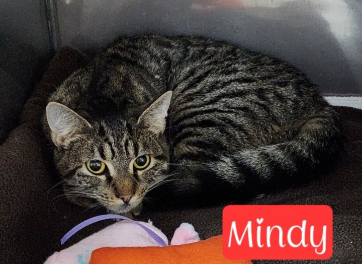 Mindy 1