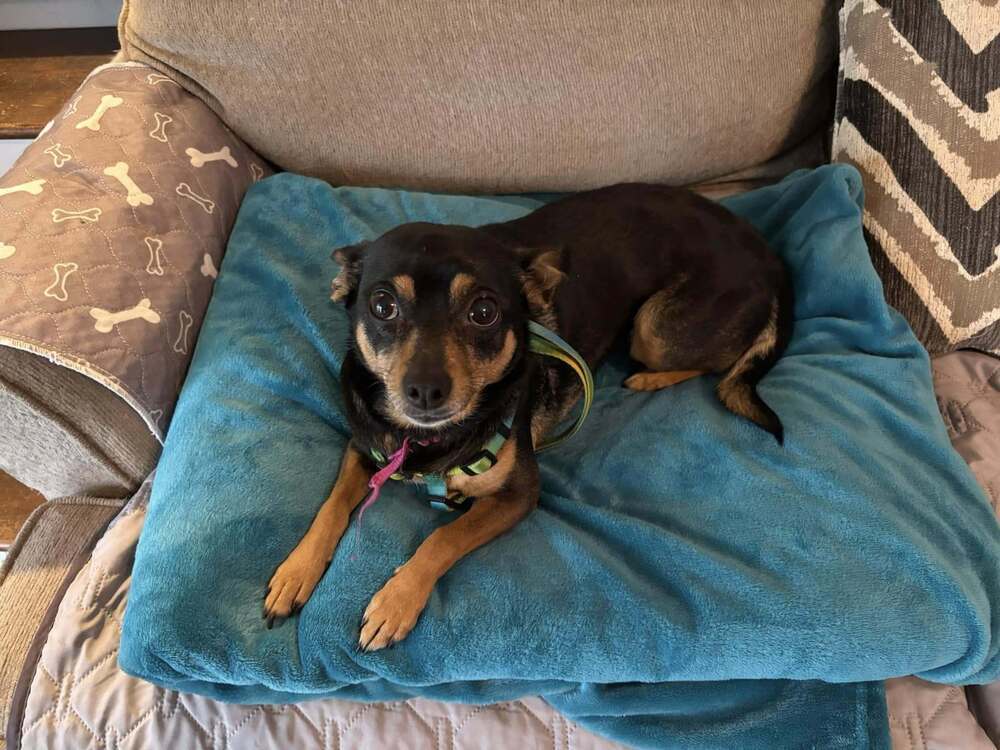 Bella ~