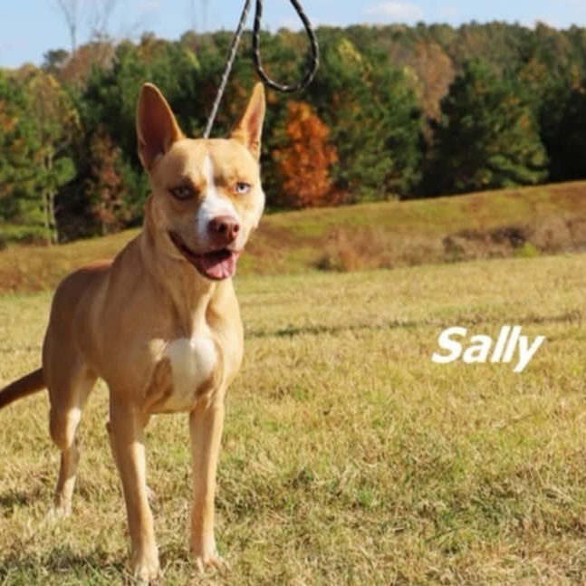 Sally 2
