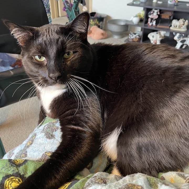 Jack
