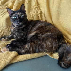 Mirna is the most confident spunky sassy and cuddly little girl in the world 