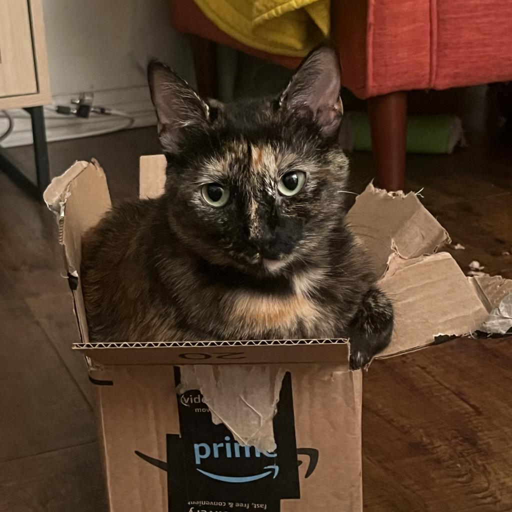 Mirna