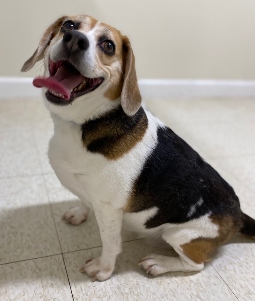 Sammy