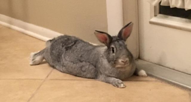 Spice (Happy) 3