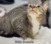 Sweetie - Center photo 1