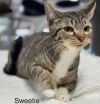 Sweetie - Center photo 2
